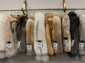Fur coats