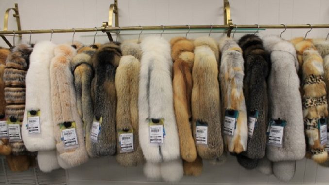 Fur coats Fur coats