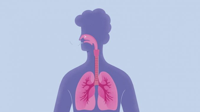 Find out About What You are Going to Inhale Find out About What You are Going to Inhale