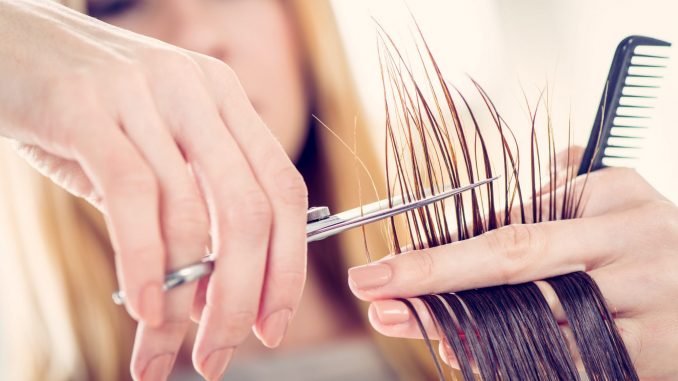 Learned From My Hairstylist Learned From My Hairstylist